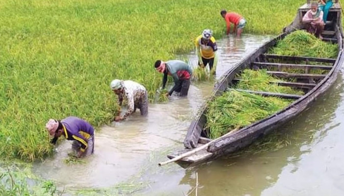 তাপদাহের পর এবার বন্যার শঙ্কা তাপদাহের পর এবার বন্যার শঙ্কা