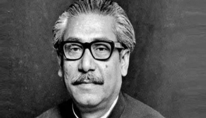 শেখ মুজিবুর রহমানকে জাতির জনক বলে মনে করে অন্তর্বর্তী সরকার