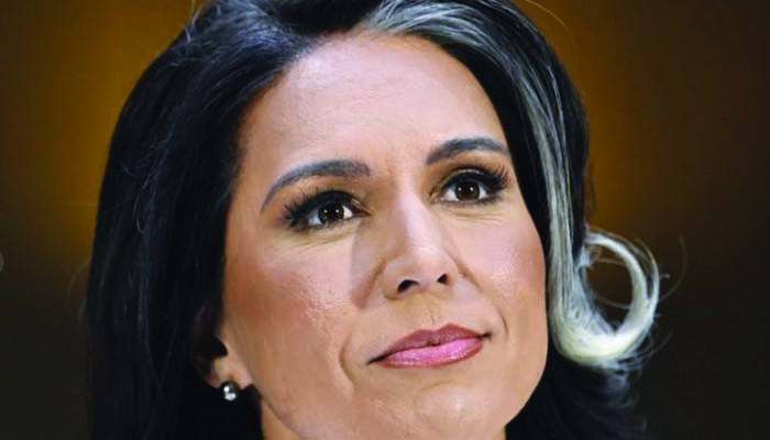 তুলসীর বক্তব্যে তোলপাড় : পুলকিত আ.লীগ