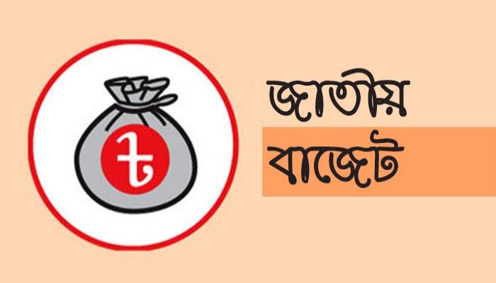 অন্তর্বর্তী সরকারের বাজেট কতটা জনবান্ধব