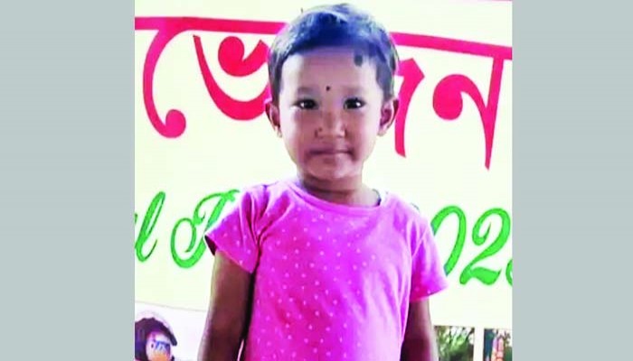 পিকনিক স্পটে গাড়ির চাকায় পিষ্ট হয়ে প্রাণ গেল শিশুর