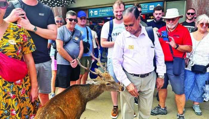 টোকিওতে নিউইয়র্কের স্বাদ