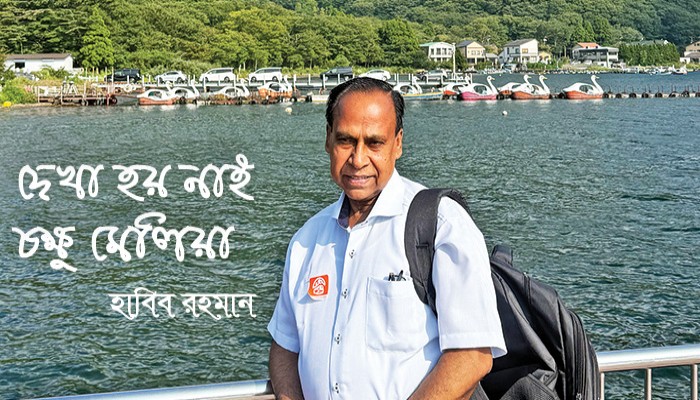 টোকিও ডিজনিল্যান্ড