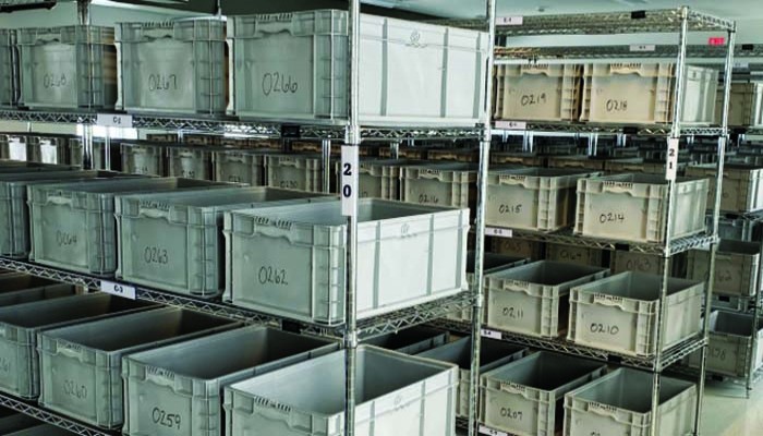 নিউইয়র্কে যৌন সহিংসতায় বেঁচে থাকা মানুষদের জন্য নতুন আইন