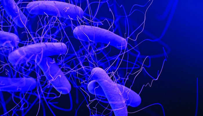 ২৭ স্টেটে প্রাণঘাতী ‘সুপারবাগ’ ১৫ মিনিটে একজনের মৃত্যু