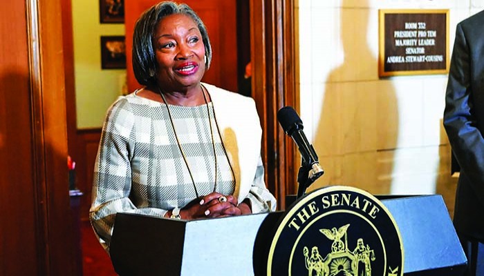 নিউইয়র্কে অভিবাসী সুরক্ষায় ফর অল অ্যাক্ট দ্রুত পাসের প্রস্তুতি