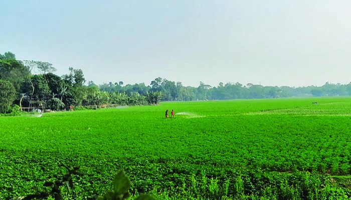 নাড়ীর টানে আপনজনের সাথে ঈদ করা কঠিন