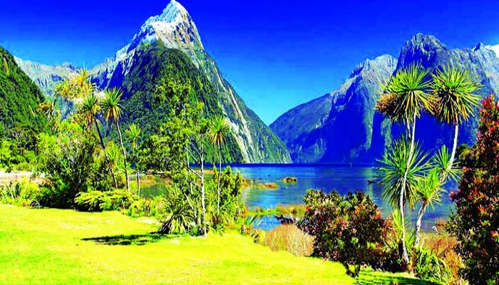 তে ওয়াহিপৌনামুর অরণ্যে